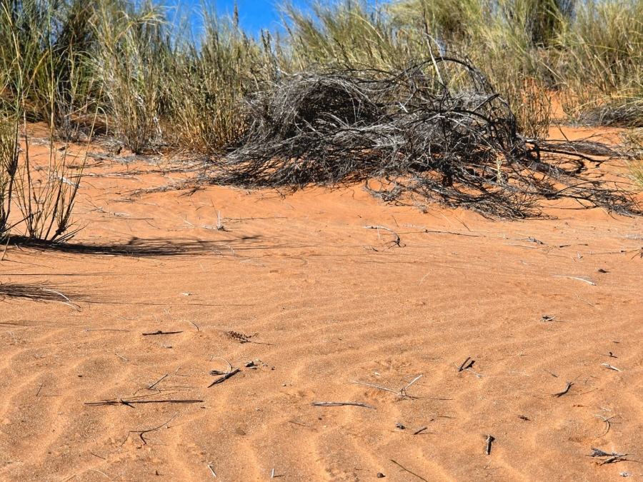 Commercial Property for Sale in Upington Rural Northern Cape
